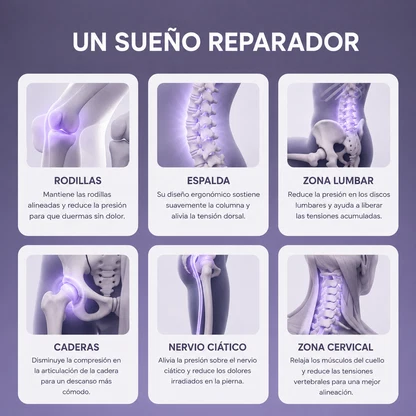Cojín para Alivio Lumbar | NoctisHip™