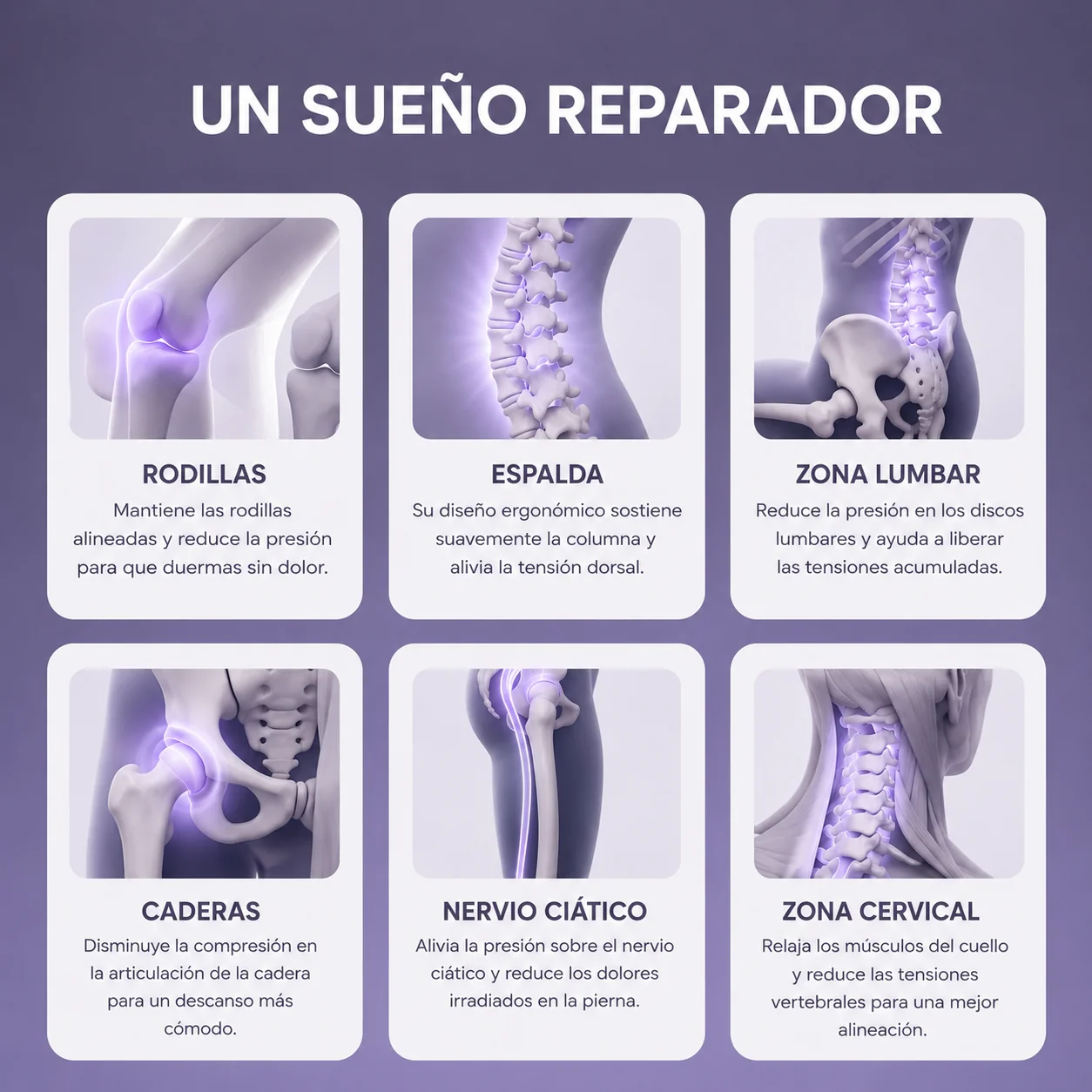 Cojín para Alivio Lumbar | NoctisHip™